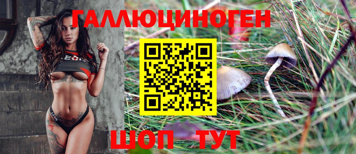 Псилоцибиновые грибы Magic Shrooms  Галлюциногенные грибы Psilocybe  Вход с VPN  Арсеньев 